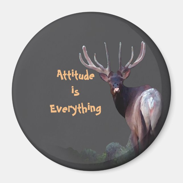 Attitude ist Everything Magnet (Vorne)