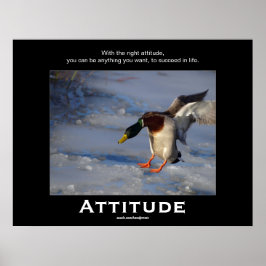 Attitude Mallard Canard Motivation Affiches