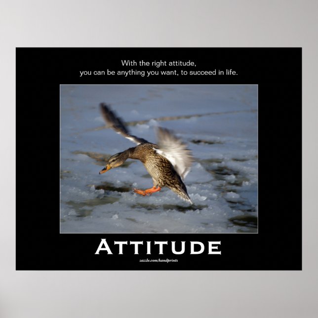 Attitude Mallard Duck Motivierend Poker Poster (Vorne)