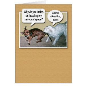 Attraction animale drôle