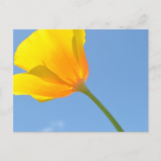 Attraktionsgesetz Postkarte (Vorderseite)