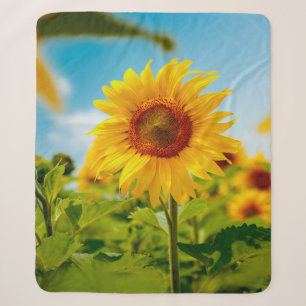 Attraktives Feld mit leuchtend gelben Sonnenblumen Sherpadecke