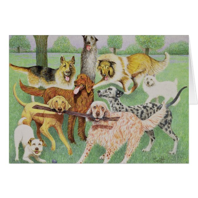 Attrapez et portez (Devant horizontal)