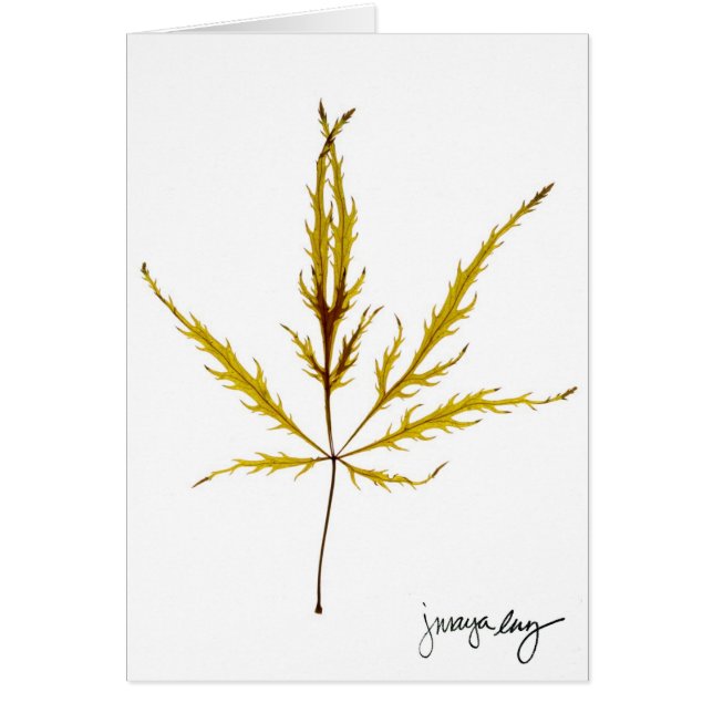 "Ätzte Blatt" durch J. Maya Luz (Vorne)