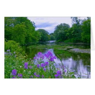 Au Bord De La Rivière