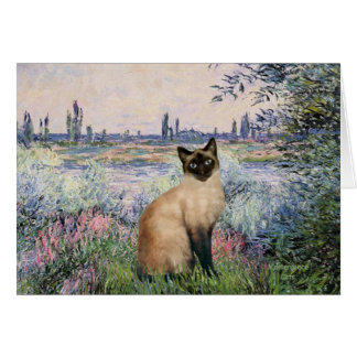 Au bord de la Seine - Chat siamois point scellé