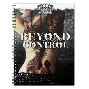 Au delà du carnet de contrôle