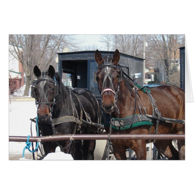 Au poste de tir (Devant horizontal)