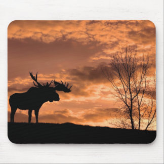 au tapis de souris de coucher du soleil