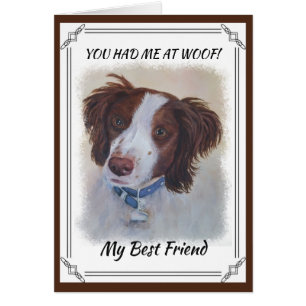 AUBOURSER DÉFINITIVEMENT LE MÉLANGE DE SETTER