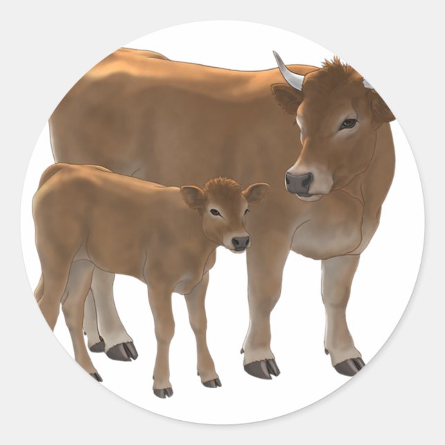 Aubrac or Jersey Brown Cow & Cute Calf Cattle Ranc Runder Aufkleber (Vorderseite)
