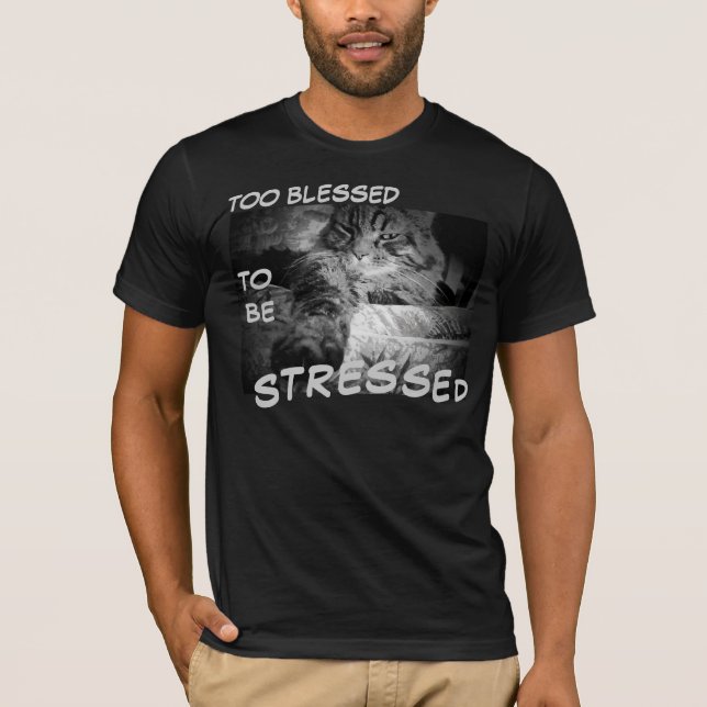 Auch gesegnet betont zu werden T-Shirt (Vorderseite)