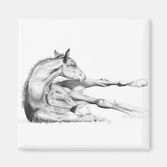 Auch Itch Magnet (Vorne)