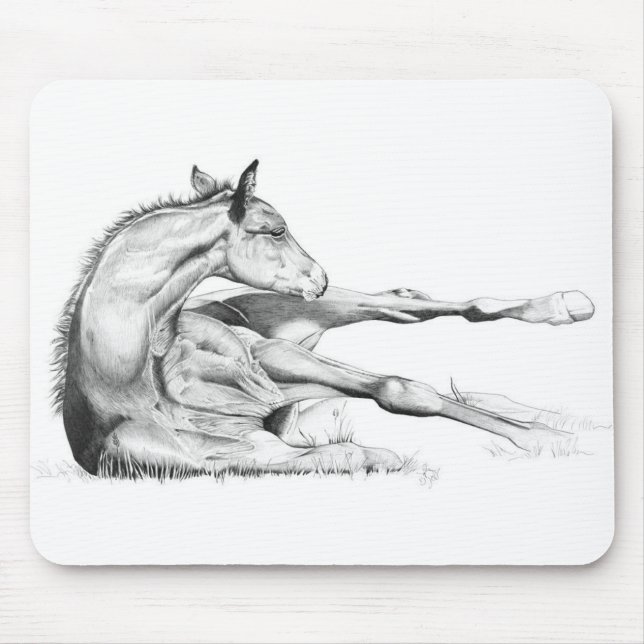 Auch Itch Mousepad (Vorne)