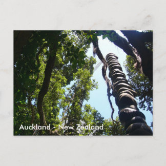 Auckland Postkarte