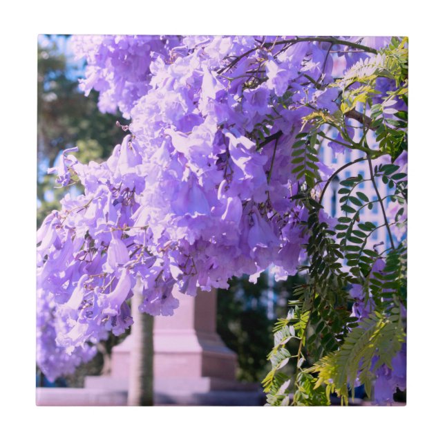 Aucklands Lila Prinzessin Tree Decorative Tiles Fliese (Vorderseite)