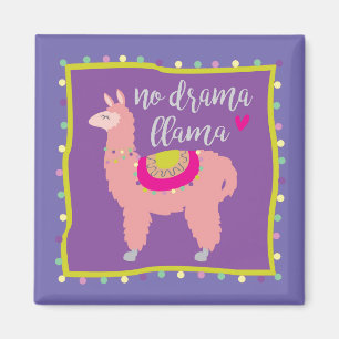 Aucun aimant de lama de drame