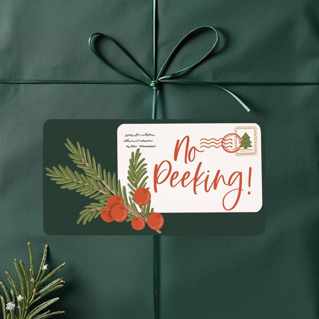 Aucun Étiquette d'enveloppe de livraison spéciale  (No Peeking Special Delivery Postage Envelope Label)