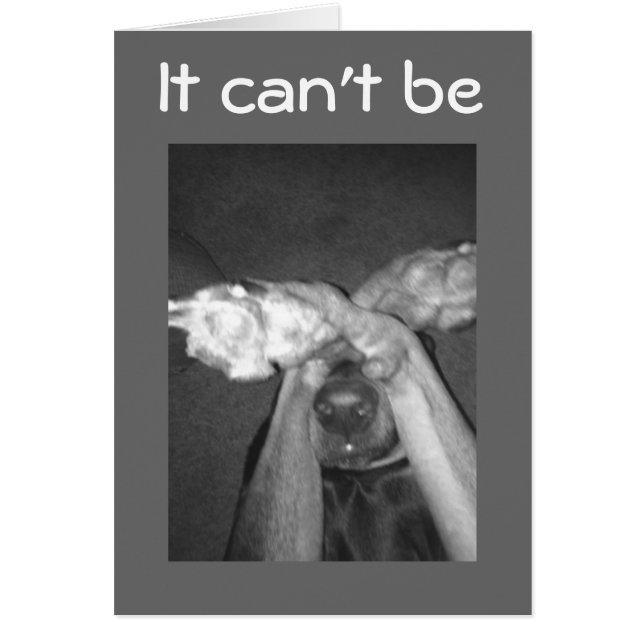 AUCUN MOYEN IMPOSSIBLE-***30e*** DIT CHIEN ÉTONNÉ (Devant)