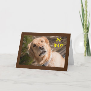 AUCUN MOYEN "VOUS" TOURNEZ **70** CARTE