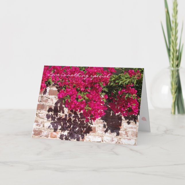 Aucune carte spéciale (Devant)