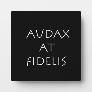 Audax auf Fidelis Fotoplatte