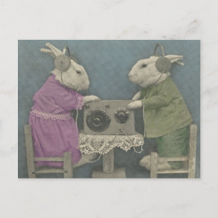 Audiophile Bunnies Postkarte