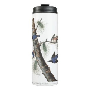 Audobon-Weißbrüste-Nuthatch (schwarz gekappt) Thermosbecher