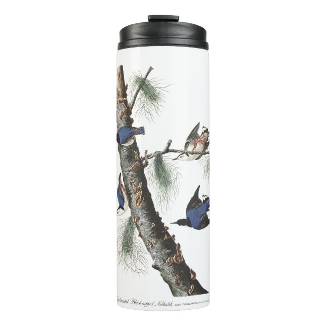 Audobon-Weißbrüste-Nuthatch (schwarz gekappt) Thermosbecher (Vorderseite)