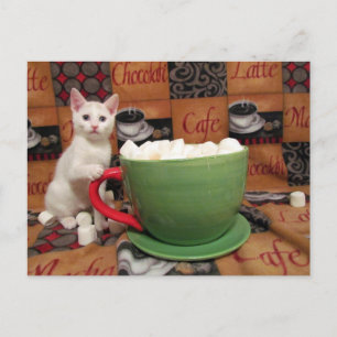 Audrey's Marshmallow Dessert Postkarte