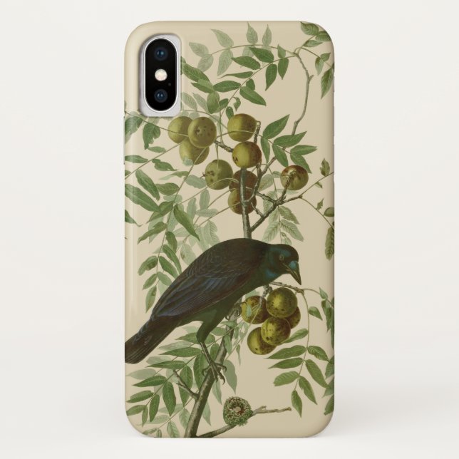 Audubon American Crow Black Bird Case-Mate iPhone Hülle (Rückseite)