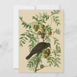 Audubon American Crow Black Bird Einladung