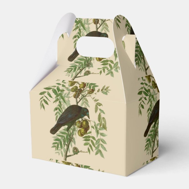 Audubon American Crow Black Bird Geschenkschachtel (Vorderseite)