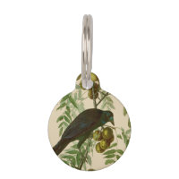 Audubon American Crow Black Bird