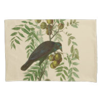 Audubon American Crow Black Bird