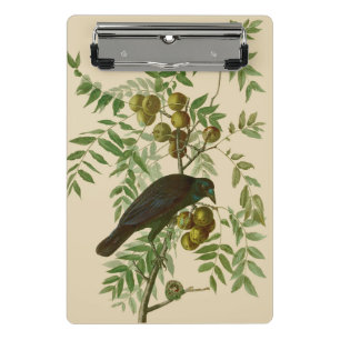 Audubon American Crow Black Bird Mini Klemmbrett