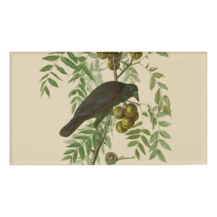 Audubon American Crow Black Bird Namenschild