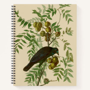 Audubon American Crow Black Bird Notizbuch