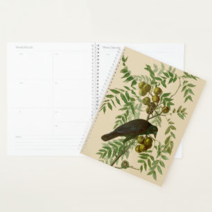 Audubon American Crow Black Bird Planer
