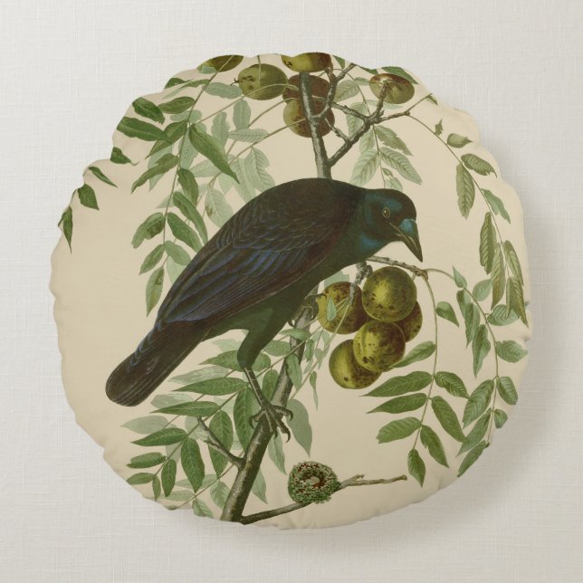 Audubon American Crow Black Bird Rundes Kissen (Vorderseite)