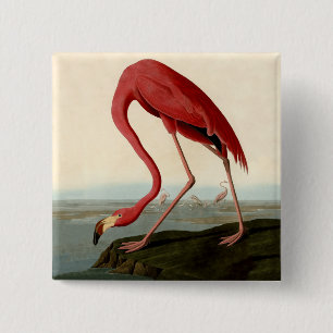 Audubon American Flamingo Button