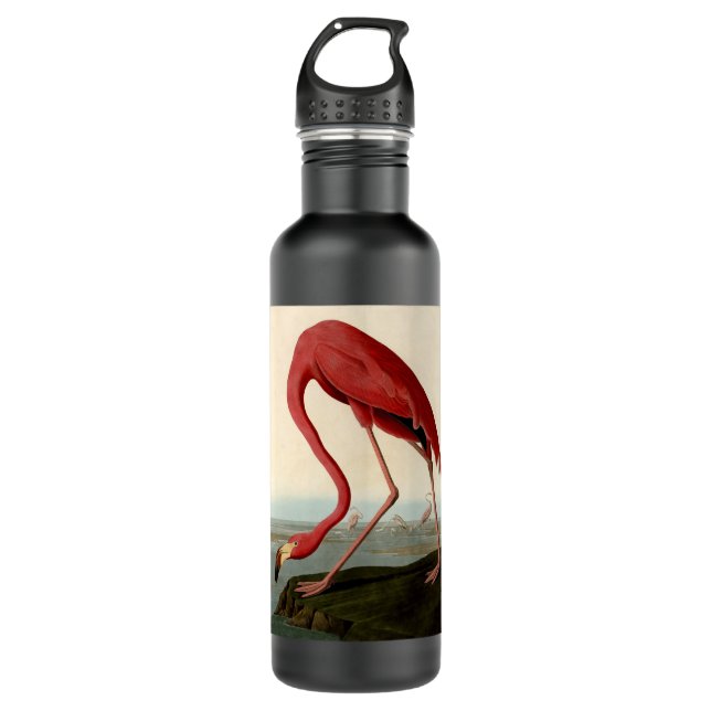 Audubon American Flamingo Edelstahlflasche (Vorderseite)