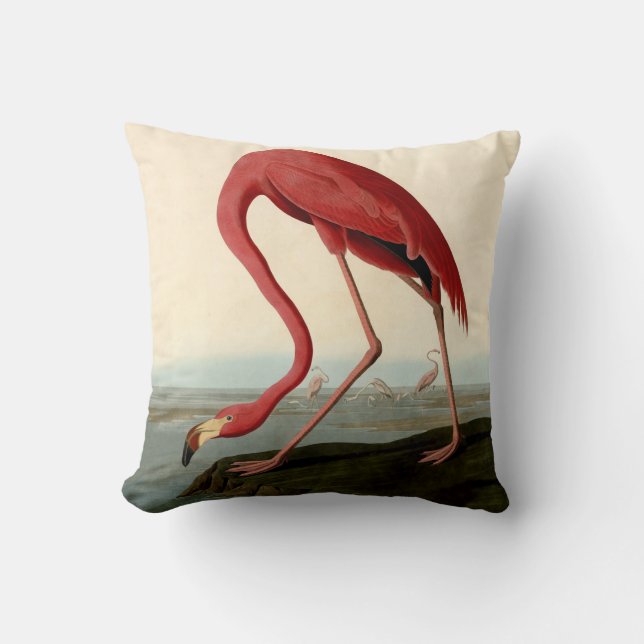 Audubon American Flamingo Kissen (Vorderseite)
