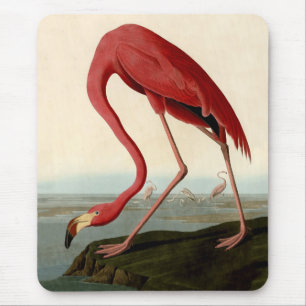 Audubon American Flamingo Mousepad
