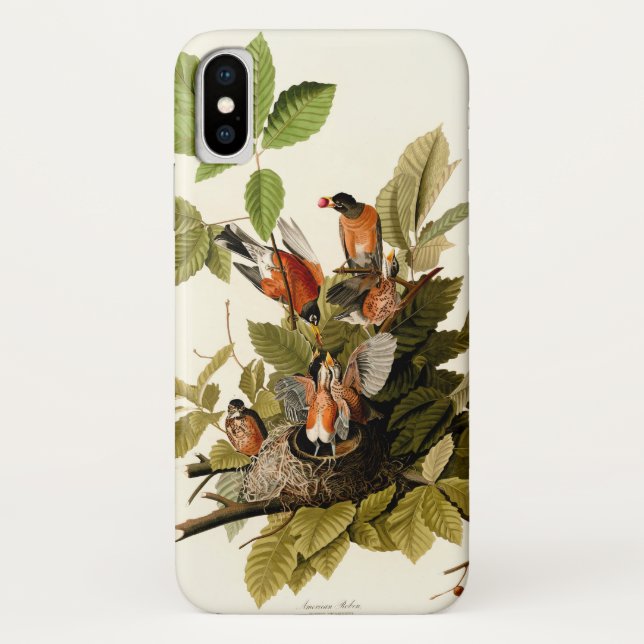 Audubon American Robin Wildlife Bird Illustration Case-Mate iPhone Hülle (Rückseite)