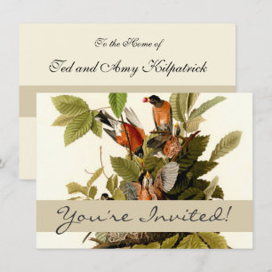 Audubon American Robin Wildlife Bird Illustration Einladung