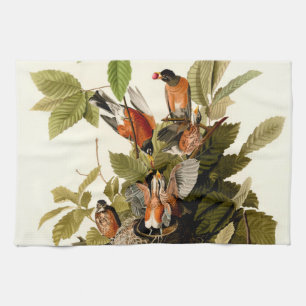 Audubon American Robin Wildlife Bird Illustration Geschirrtuch
