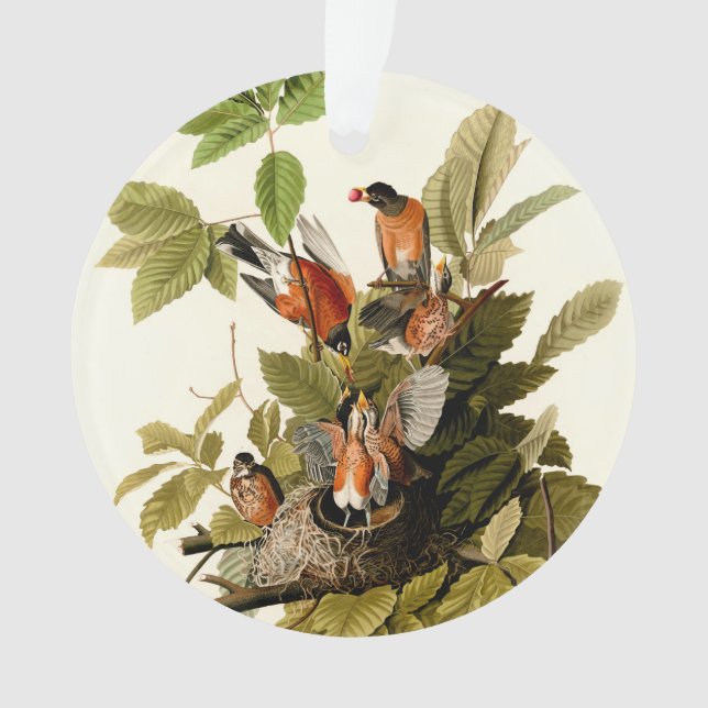 Audubon American Robin Wildlife Bird Illustration Ornament (Vorderseite)