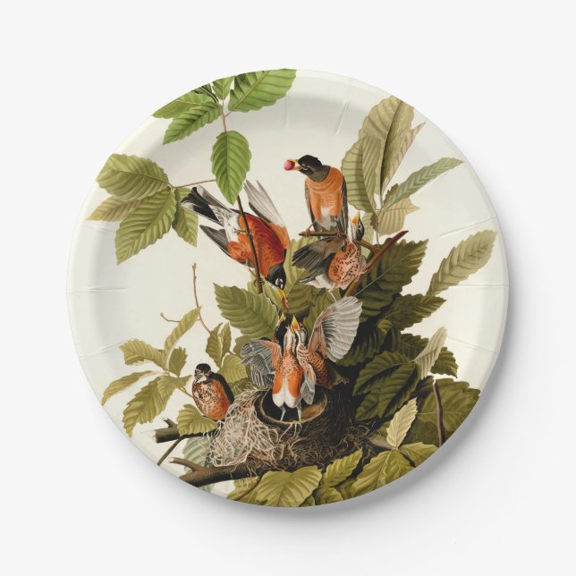 Audubon American Robin Wildlife Bird Illustration Pappteller (Vorderseite)