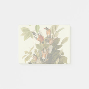 Audubon American Robin Wildlife Bird Illustration Post-it Klebezettel